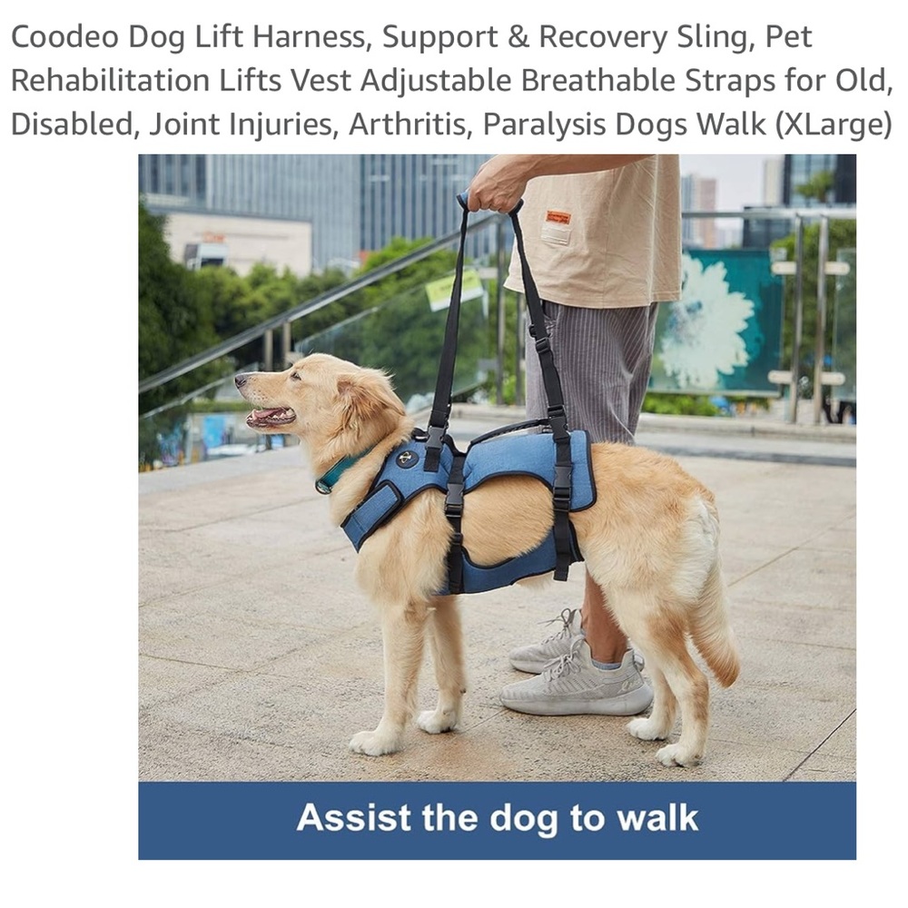 Coodeo dog lift harness